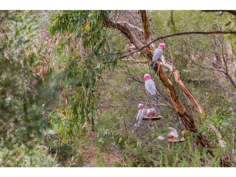 135 Wandu Road, Swan View WA 6056