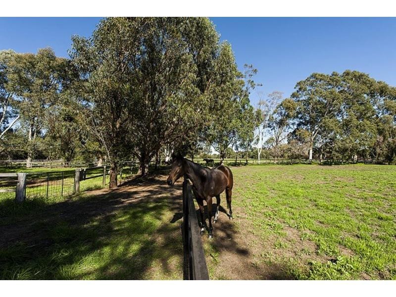 256 Haddrill Road, Baskerville WA 6056