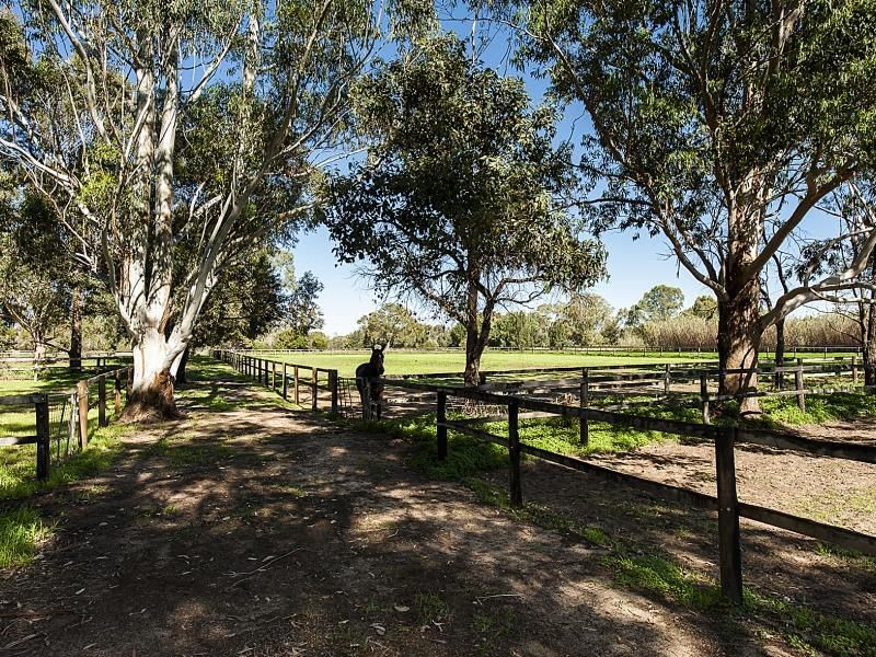 256 Haddrill Road, Baskerville WA 6056
