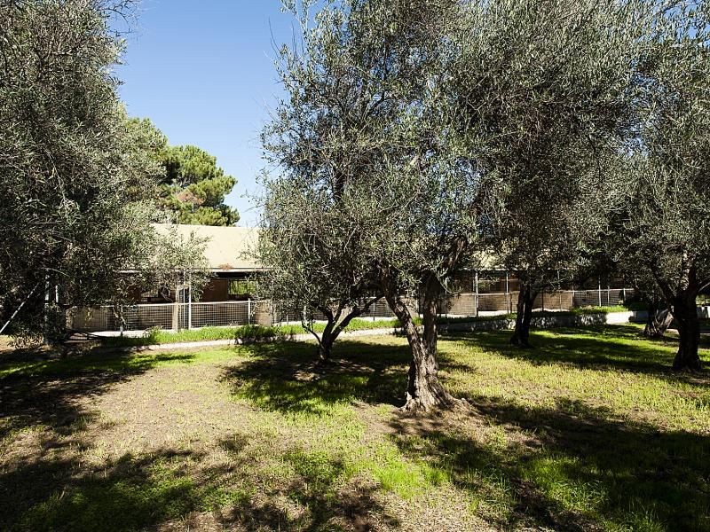 256 Haddrill Road, Baskerville WA 6056