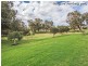 55 Arrino Parade, Baldivis WA 6171