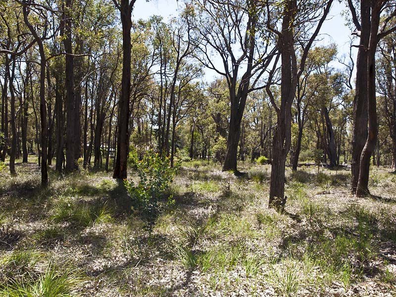 70 Forsyth Place, Chidlow WA 6556