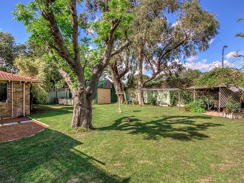 20 Quindalup Court, Hillman WA 6168