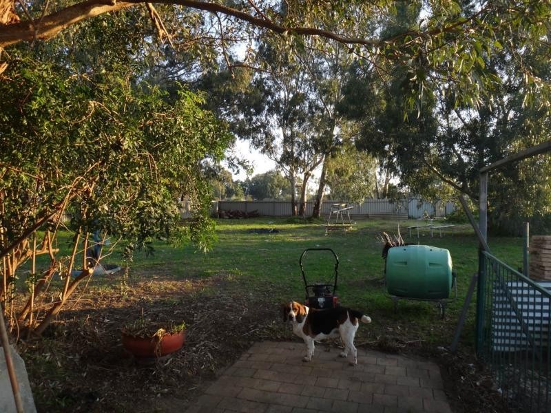95 Park Road, Kenwick WA 6107