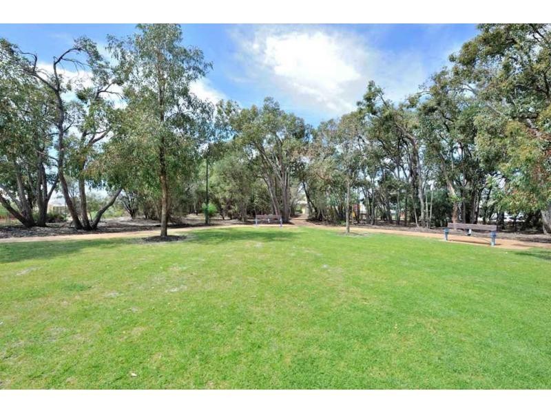 14 Palomino Parade, Baldivis WA 6171