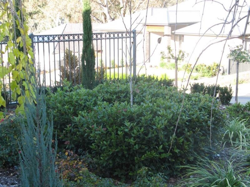 12 Nicholas Paech Drive, Hahndorf SA 5245