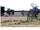 Jones Creek NSW 2830