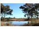 Jones Creek NSW 2830