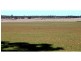 Jones Creek NSW 2830