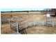 Jones Creek NSW 2830