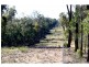 Jones Creek NSW 2830