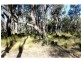 Jones Creek NSW 2830