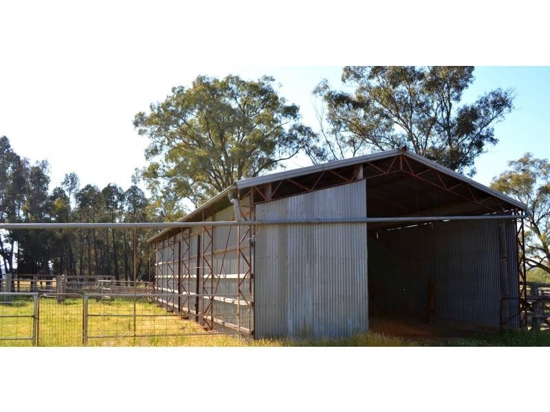 1 “Jimbelle” Golden Highway, Elong Elong NSW 2831