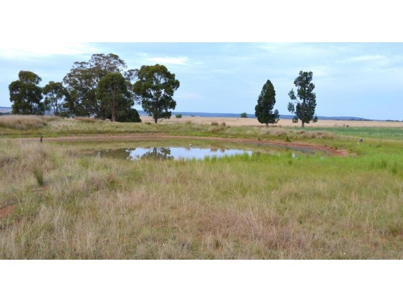 1 “Jimbelle” Golden Highway, Elong Elong NSW 2831