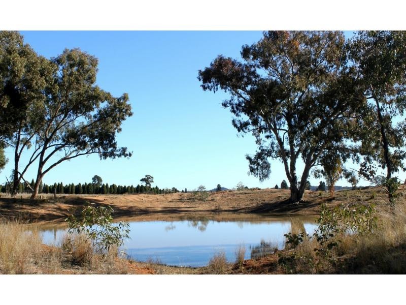 Jones Creek NSW 2830