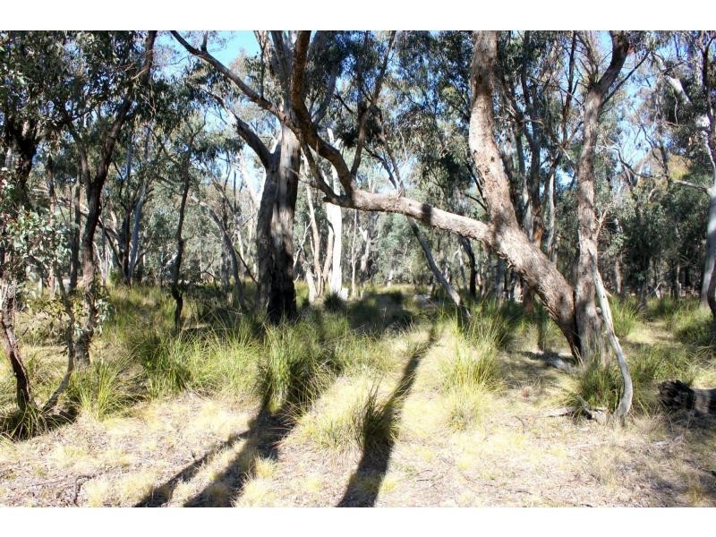 Jones Creek NSW 2830