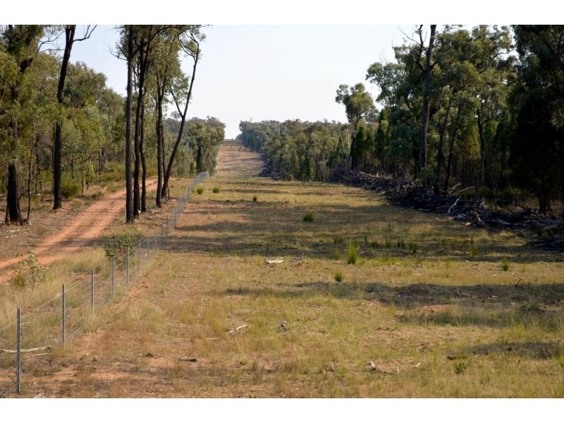 Jones Creek NSW 2830