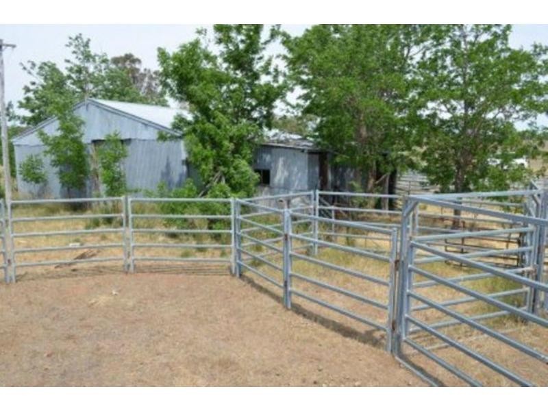 Jones Creek NSW 2830