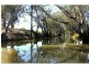 “Lynwood”  144L Goan Creek Road, Ballimore NSW 2830