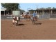 “Lynwood”  144L Goan Creek Road, Ballimore NSW 2830