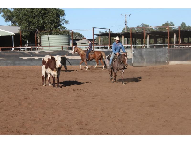 “Lynwood”  144L Goan Creek Road, Ballimore NSW 2830