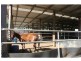 “Lynwood”  144L Goan Creek Road, Ballimore NSW 2830