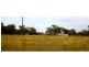“Lynwood”  144L Goan Creek Road, Ballimore NSW 2830