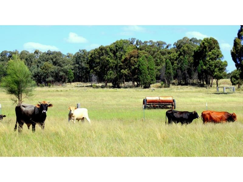 “Lynwood”  144L Goan Creek Road, Ballimore NSW 2830
