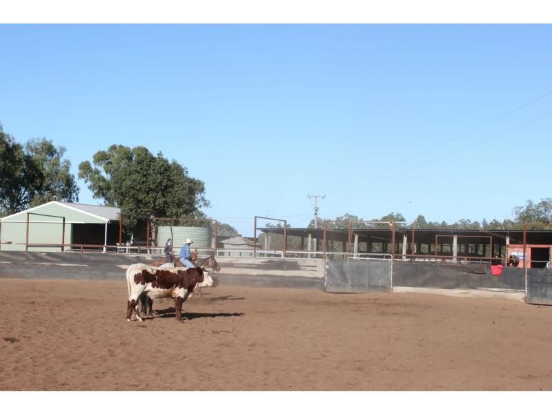 “Lynwood”  144L Goan Creek Road, Ballimore NSW 2830