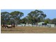 “Lynwood”  144L Goan Creek Road, Ballimore NSW 2830