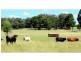 “Lynwood”  144L Goan Creek Road, Ballimore NSW 2830