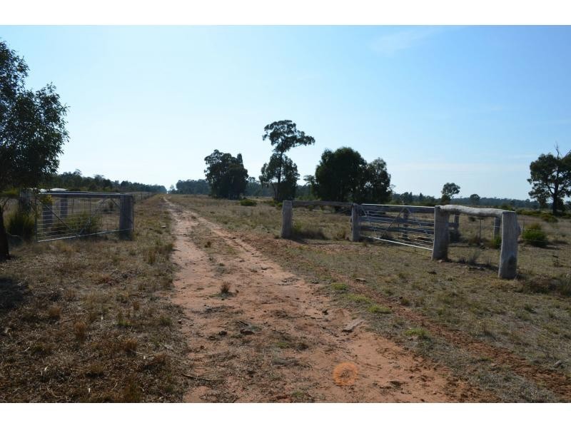 “Lynwood”  144L Goan Creek Road, Ballimore NSW 2830