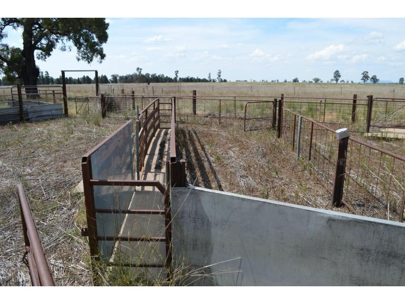 “Belview” 132 Bulga Hillside Road, Gilgandra NSW 2827