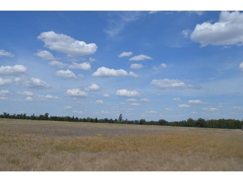 “Belview” 132 Bulga Hillside Road, Gilgandra NSW 2827