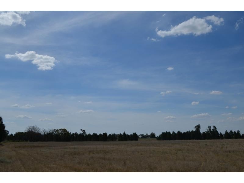 “Belview” 132 Bulga Hillside Road, Gilgandra NSW 2827