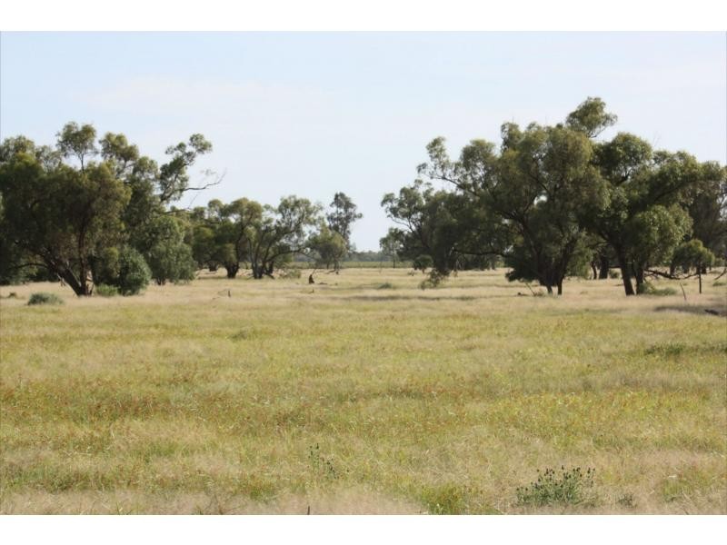 2370 Gungalman Road, Carinda NSW 2831