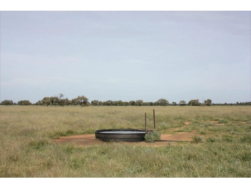 2370 Gungalman Road, Carinda NSW 2831