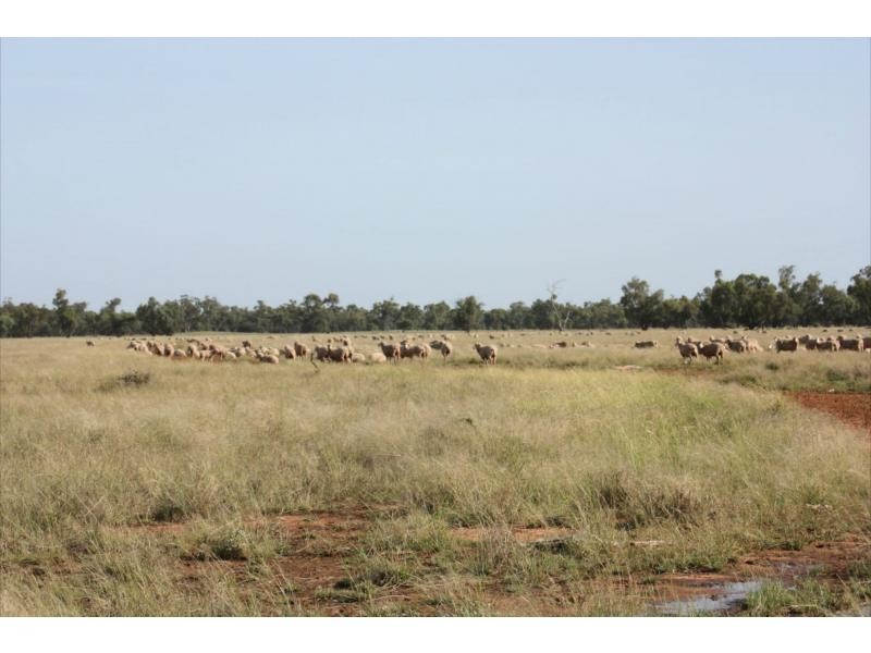 2370 Gungalman Road, Carinda NSW 2831