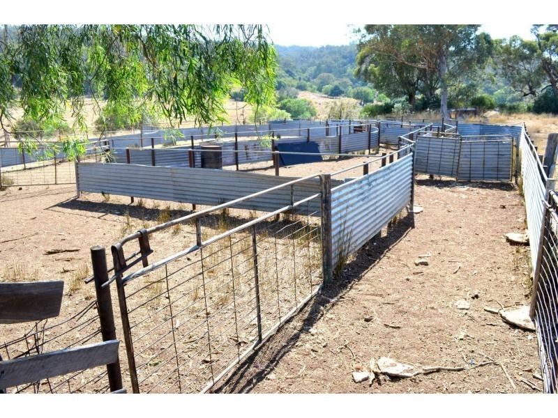 The Summit  1 Bramble Road, Warrumbungle NSW 2828