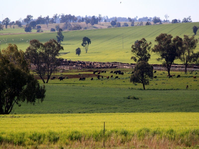 132L Old Dubbo Road, Dubbo NSW 2830
