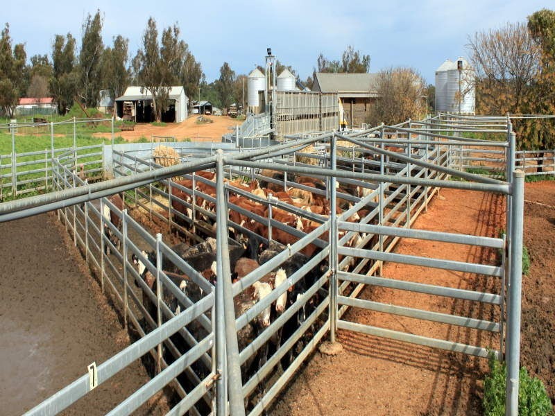 132L Old Dubbo Road, Dubbo NSW 2830