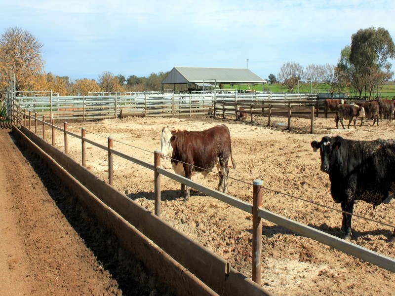 132L Old Dubbo Road, Dubbo NSW 2830