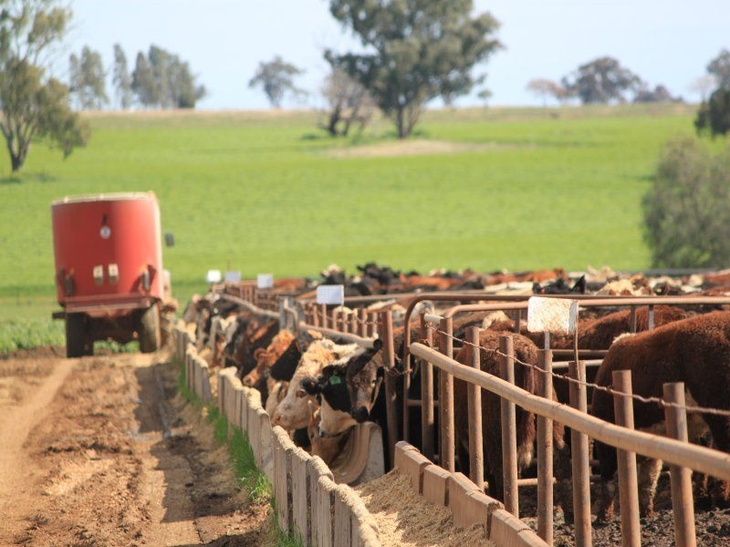 132L Old Dubbo Road, Dubbo NSW 2830