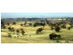 Kerrs Creek NSW 2800
