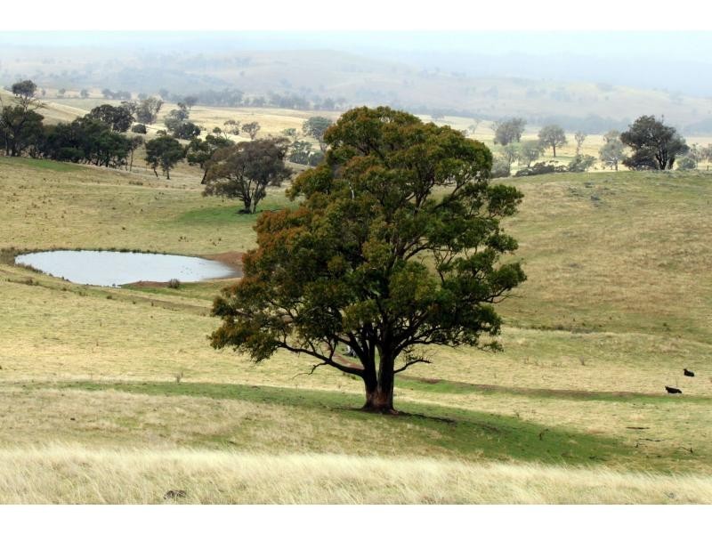 Kerrs Creek NSW 2800