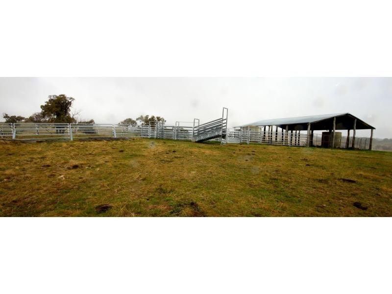 Kerrs Creek NSW 2800