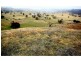 Kerrs Creek NSW 2800