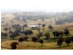 Kerrs Creek NSW 2800