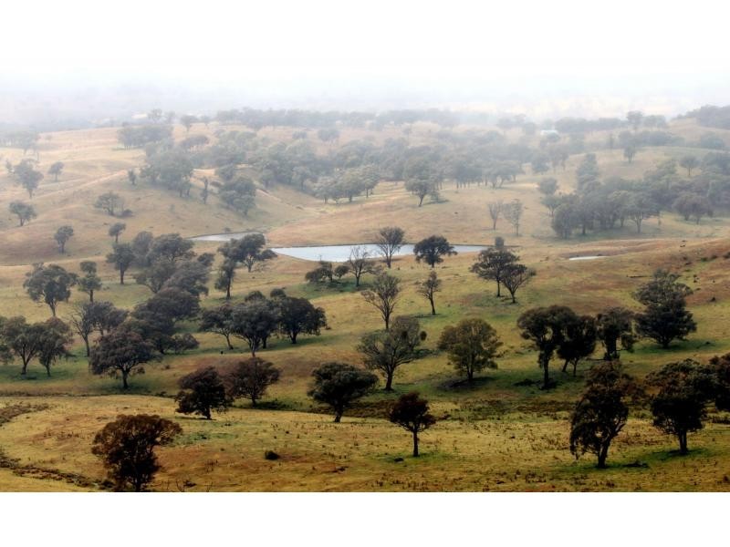 Kerrs Creek NSW 2800