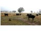 Kerrs Creek NSW 2800